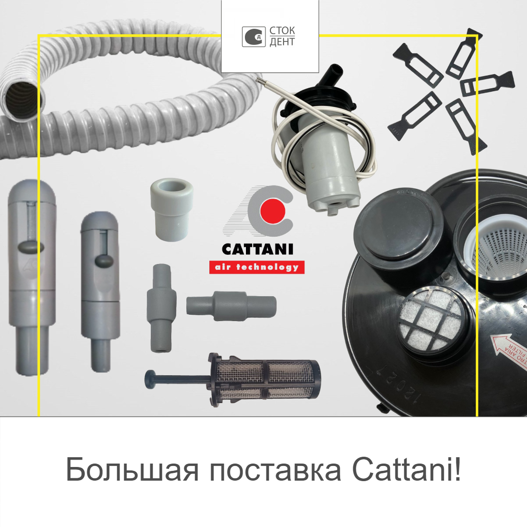 Большая поставка Cattani